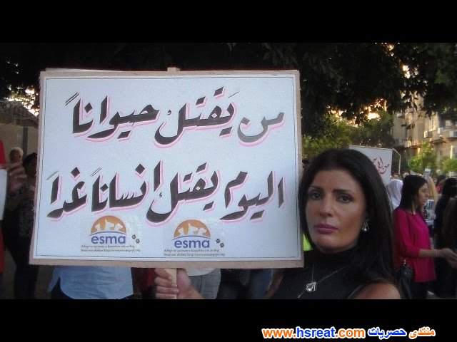 فيدرا-5.jpg