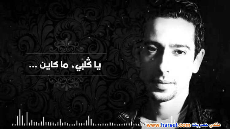 فيصل-عزيزي-1.jpg