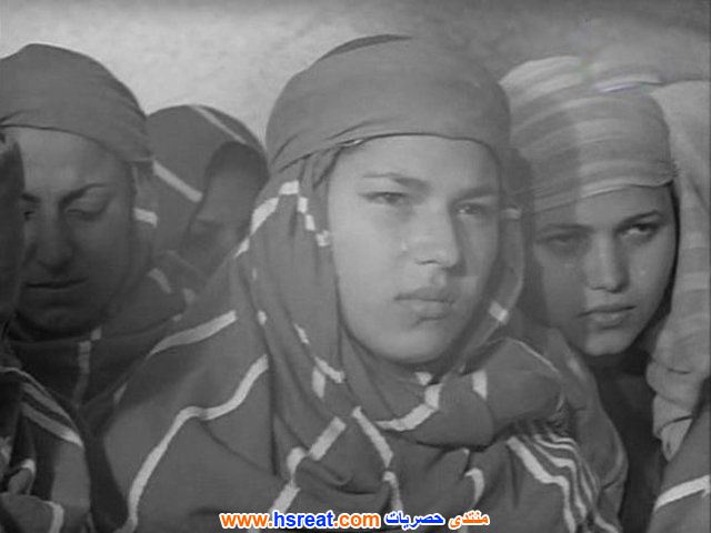 كوثر-شفيق-2.jpg