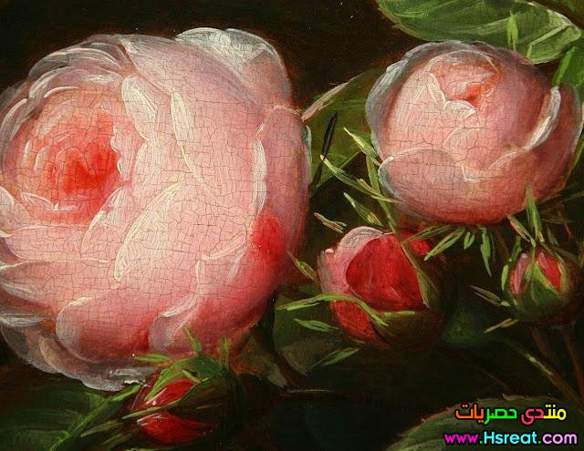 لوحة زهرة وردية.jpg