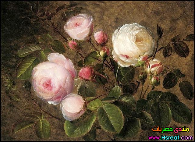 لوحة زهور بينك وأبيض.jpg