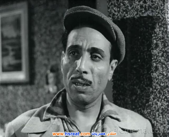 محسن-حسنين-1.jpg