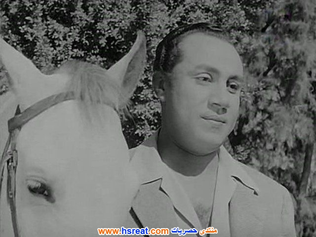 محمد-السبع-6.jpg