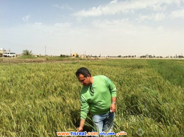 محمد-ثروت-2.jpg