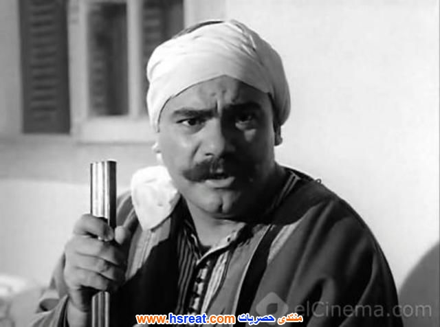 محمد-رضا-1.jpg