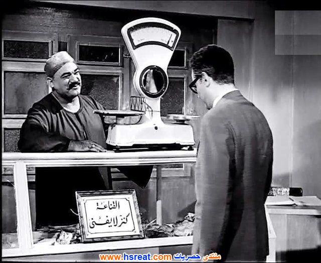 محمد-رضا-9.jpg