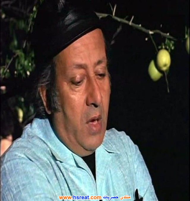 محمد-سلمان-8.jpg