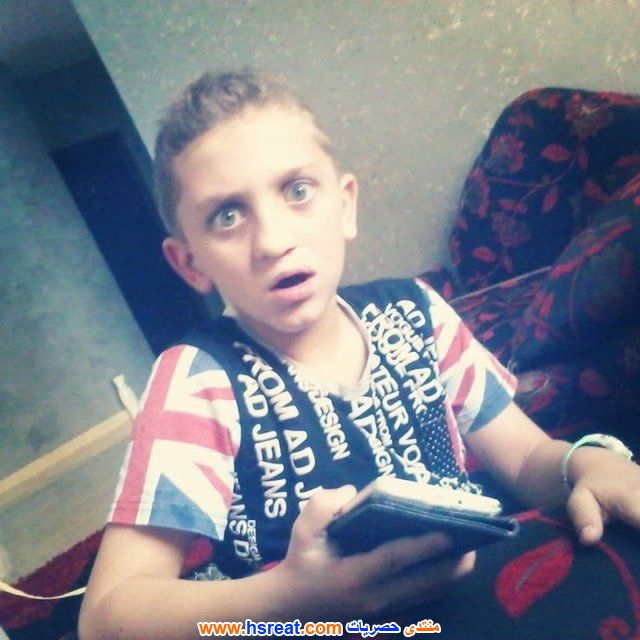 محمد-عبد-الحليم-2.jpg