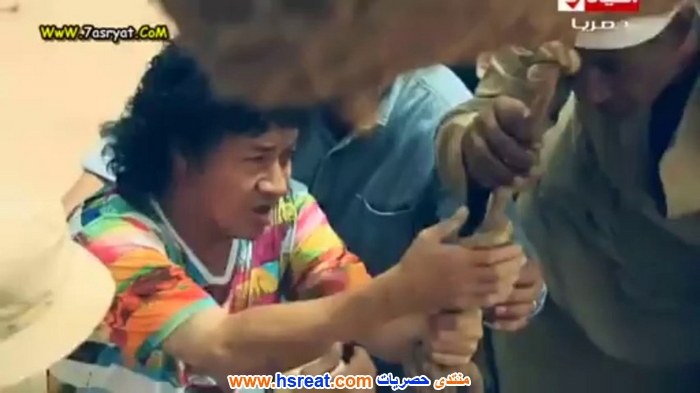 محمد-نجم-16.jpg