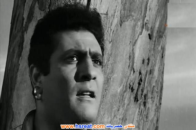 محمد-نوح-3.jpg