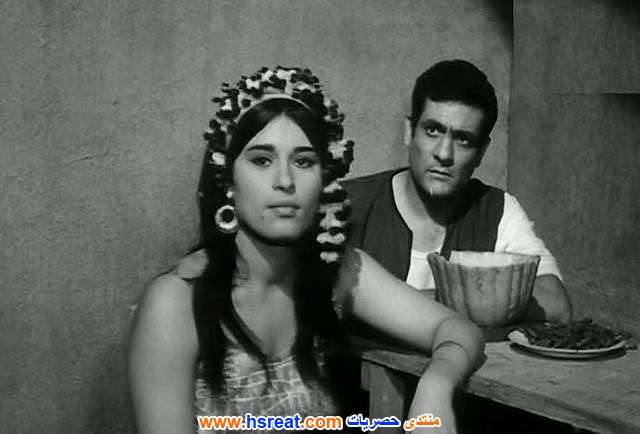 محمد-نوح-6.jpg