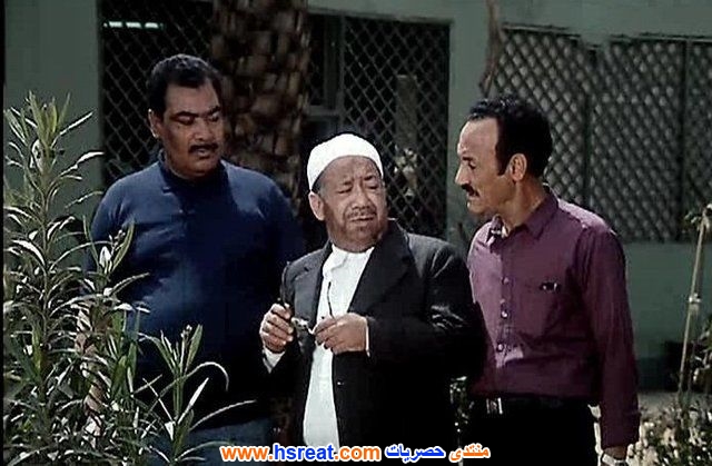 محمود-أبو-زيد-10.jpg