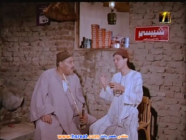 محمود-عامر-10.jpg