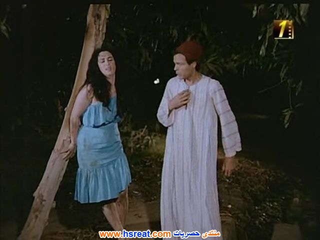محمود-عامر-11.jpg