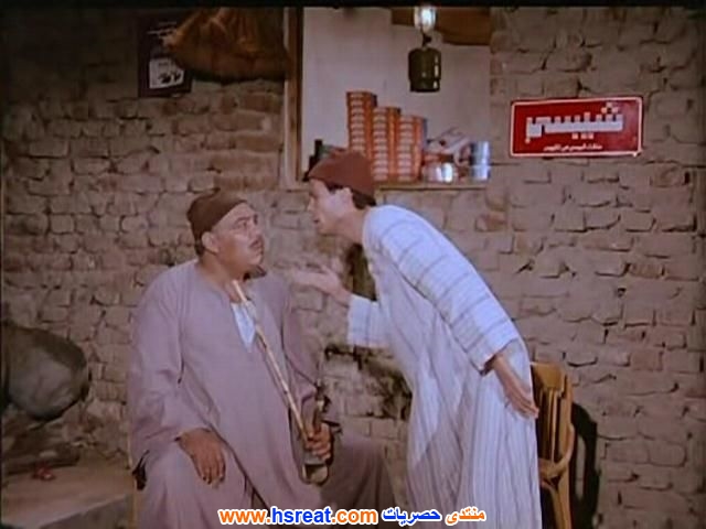 محمود-عامر-8.jpg