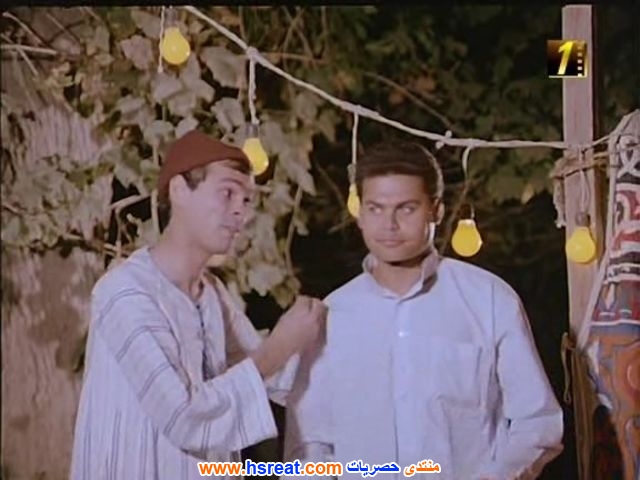 محمود-عامر-9.jpg