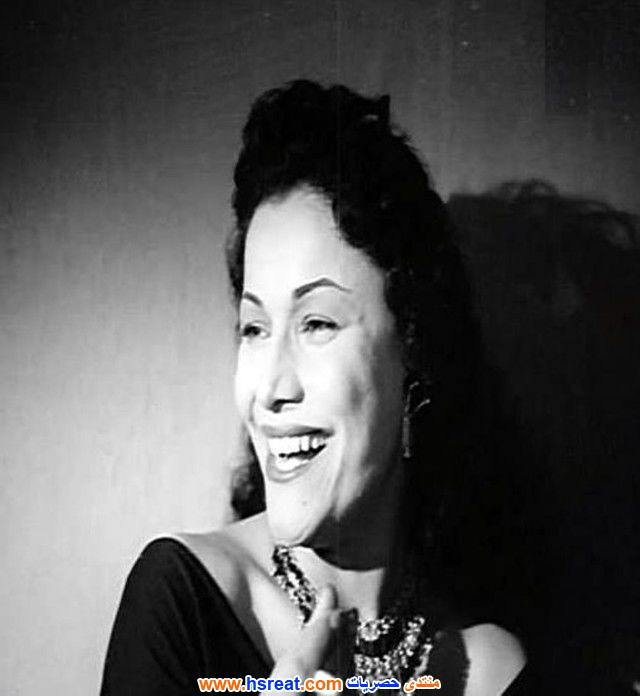 ملك-الجمل-9.jpg