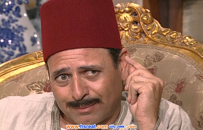 ممدوح-عبد-العليم-13.jpg