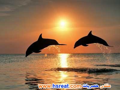 مناظر-طبيعية-تحفة-15.jpg