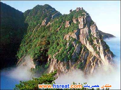 مناظر-طبيعية-تحفة-16.jpg