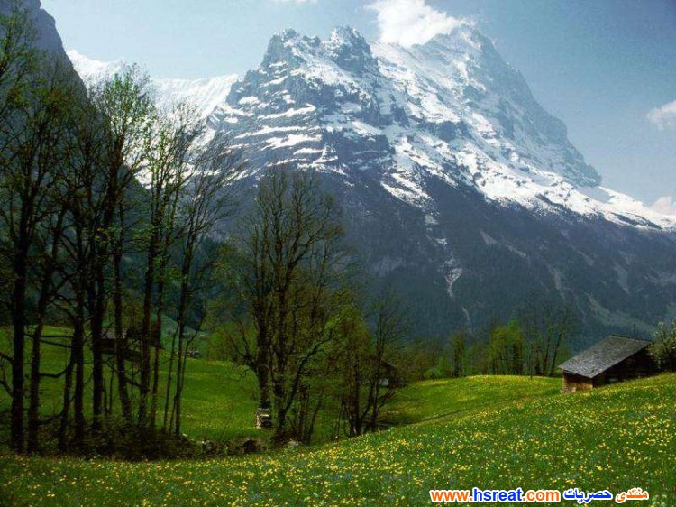 مناظر-طبيعية-تحفة-17.jpg