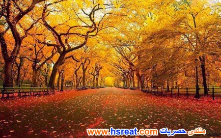 مناظر-طبيعية-حلوة-12.jpg