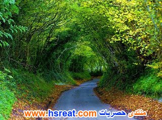 مناظر-طبيعية-حلوة-2.jpg