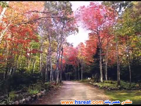 مناظر-طبيعية-خلابة-11.jpg