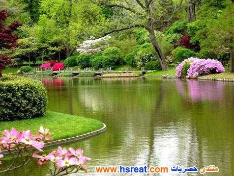 مناظر-طبيعية-خلابة-15.jpg