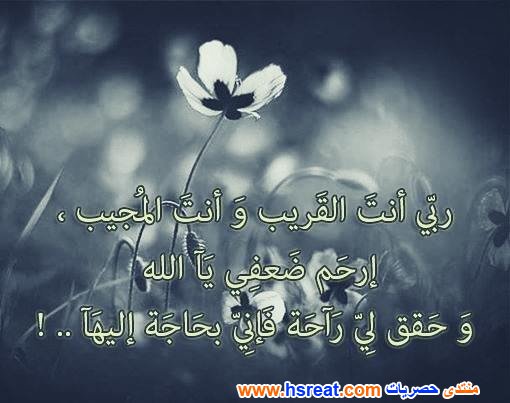 مناظر-طبيعية-دينية-14.jpg