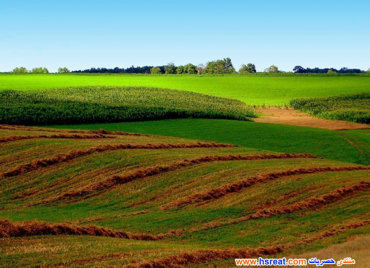 مناظر-طبيعية-في-امريكا-17.jpg