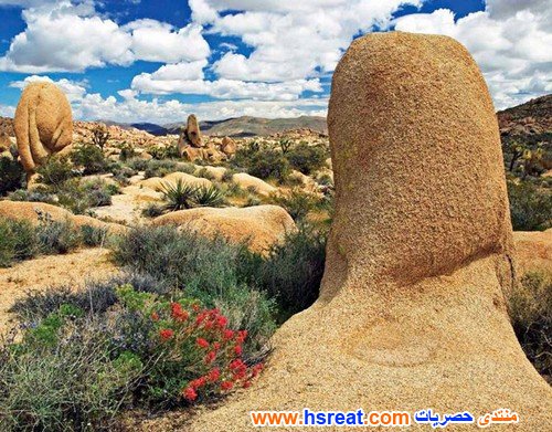 مناظر-طبيعية-في-امريكا-5.jpg