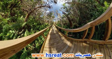 مناظر-طبيعية-في-امريكا-7.jpg