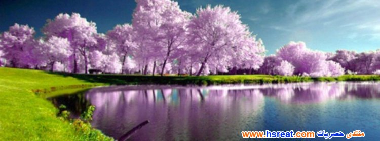 مناظر-طبيعية-كيوت-5.jpg