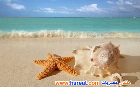 مناظر-طبيعية-للبحر-14.jpg