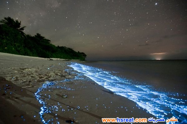 مناظر-طبيعية-للبحر-17.jpg