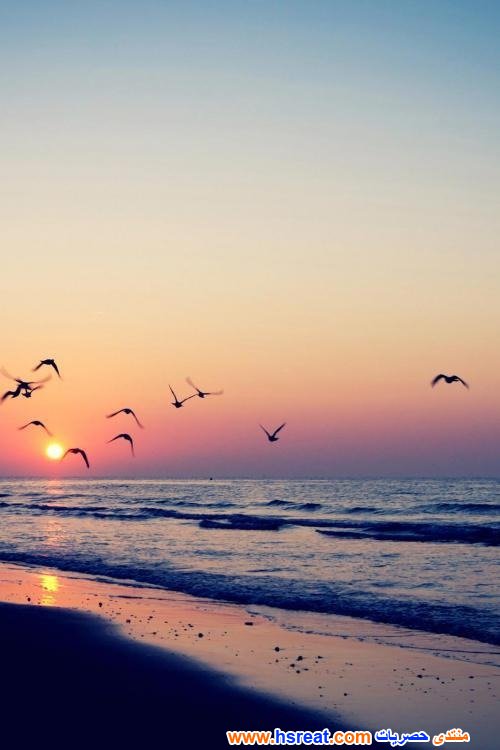 مناظر-طبيعية-للبحر-8.jpg
