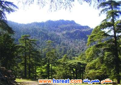 مناظر-طبيعية-لولاية-تيسمسيلت-6.jpg