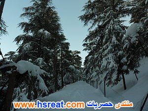 مناظر-طبيعية-لولاية-تيسمسيلت-8.JPG