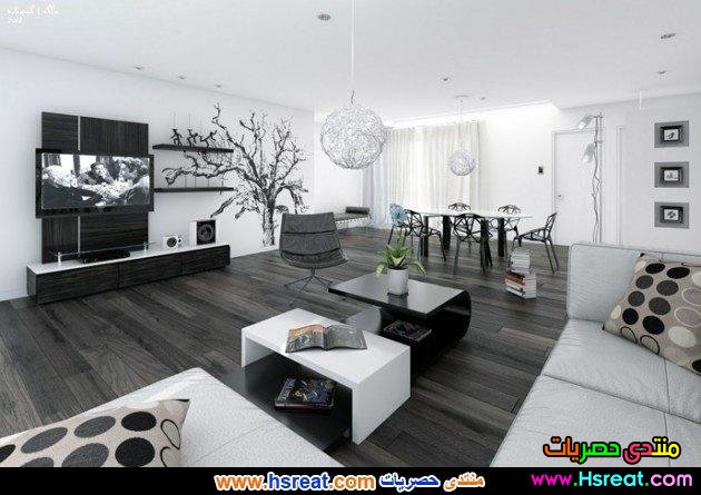 من اجمل افكار تصميمات غرف المعيشة.jpg