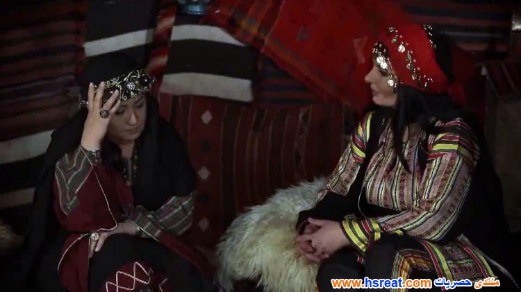 ناريمان-عبد-الكريم-9.jpg
