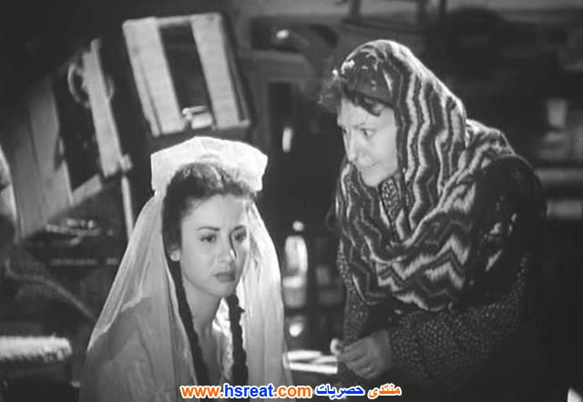 نجمة-إبراهيم-1.jpg