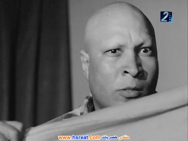 نصر-سيف-1.jpg