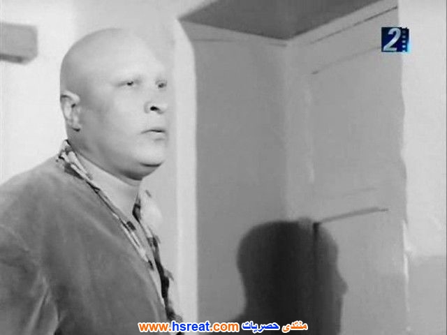 نصر-سيف-2.jpg