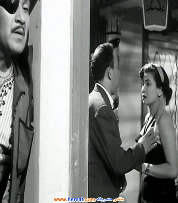 نظيم-شعراوي-1.jpg