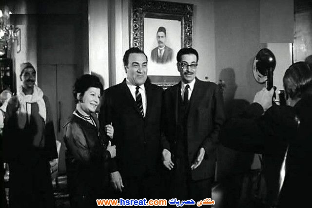 نظيم-شعراوي-11.jpg