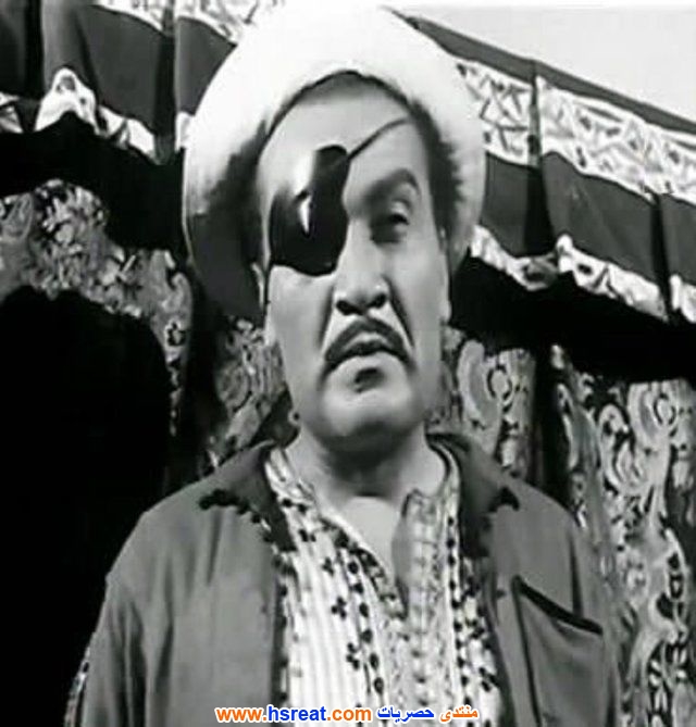 نظيم-شعراوي-12.jpg