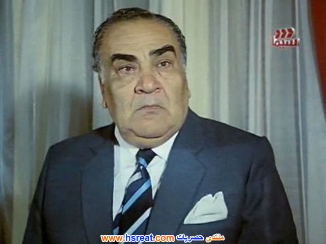 نظيم-شعراوي-7.jpg