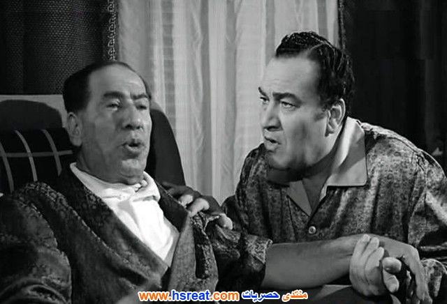 نظيم-شعراوي-9.jpg