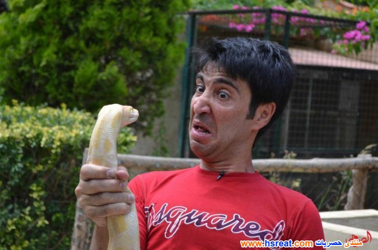 وسام-صباغ-8.jpg
